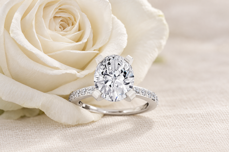 An oval cut diamond engagement ring with a pave band beside a white rose